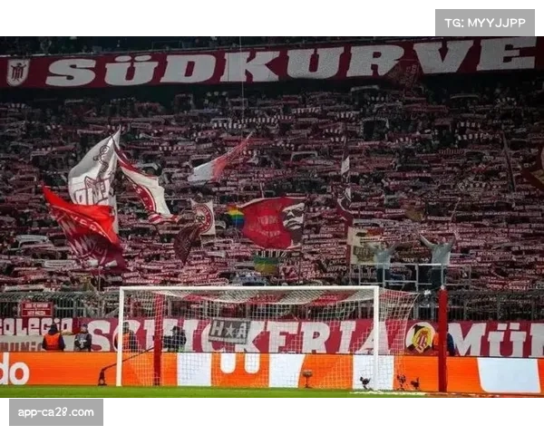 光明球场陷入沉寂，本菲卡欧冠溃败引发球迷失望离场